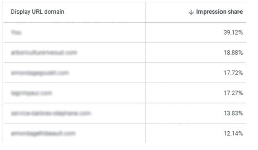 Comparez la performance de vos campagnes avec celle de vos concurrents à l’aide de la fonctionnalité Auction Insights de Google Ads